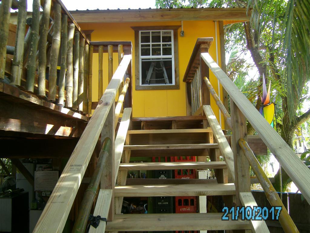 The Funky Dodo Backpackers Hostel Hopkins Zewnętrze zdjęcie