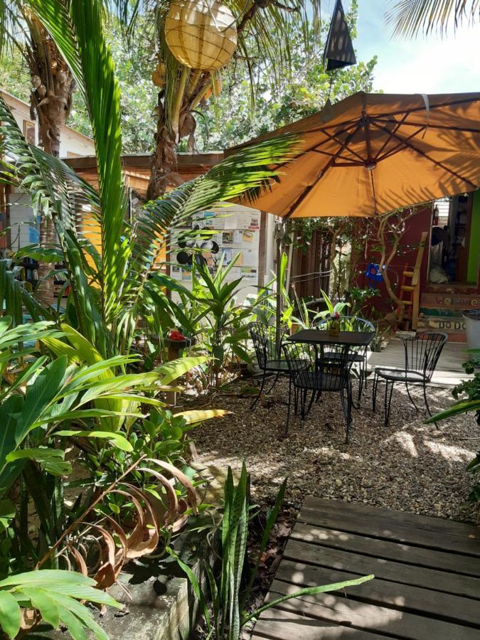 The Funky Dodo Backpackers Hostel Hopkins Zewnętrze zdjęcie